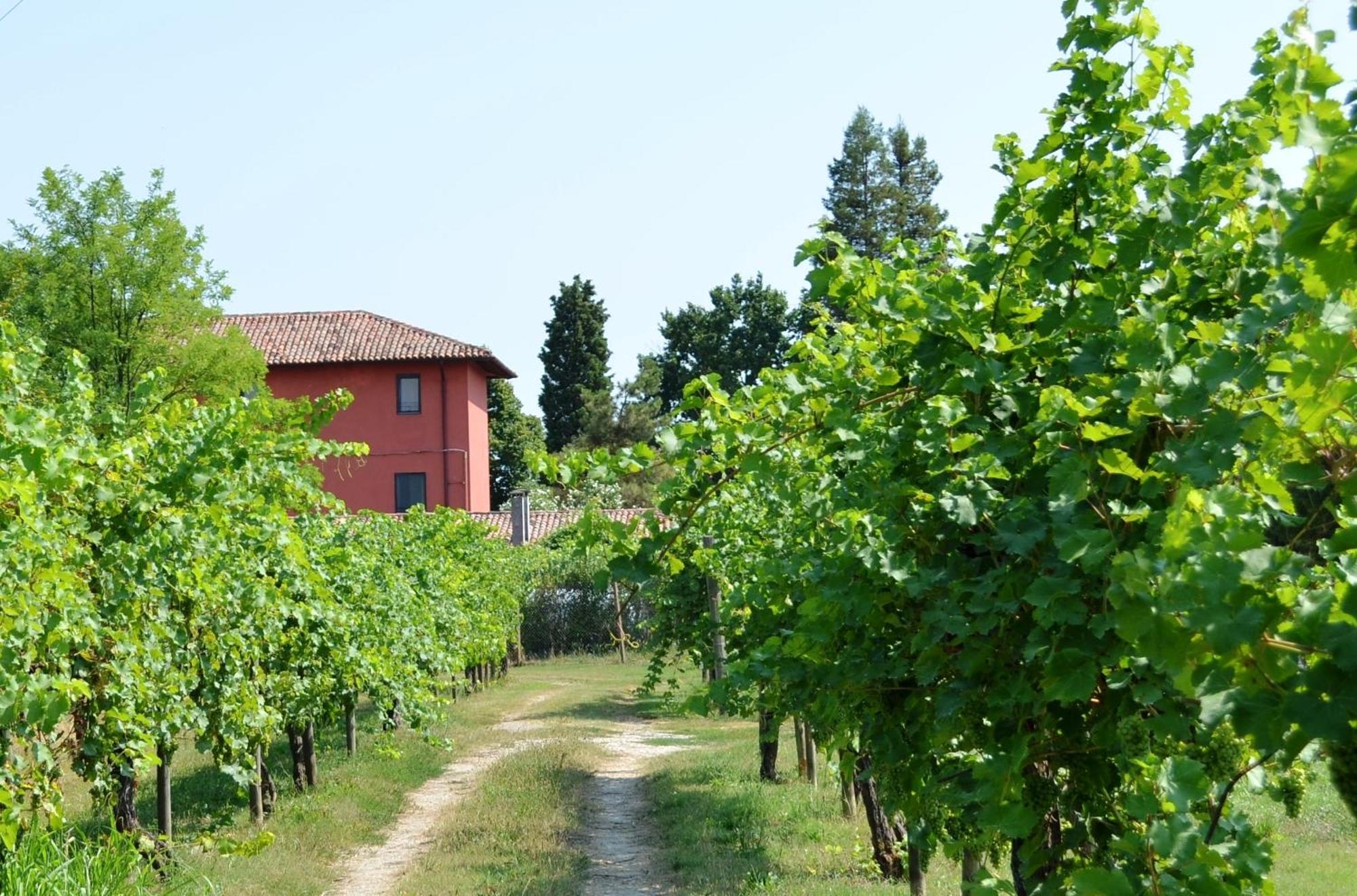 Agriturismo Isola Augusta Palazzolo dello Stella Eksteriør billede